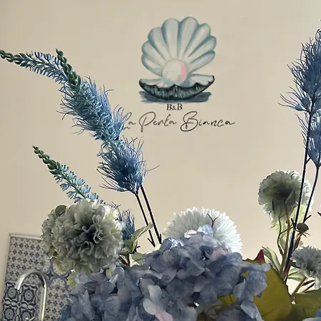B&B 3 Stelle - La perla bianca-2